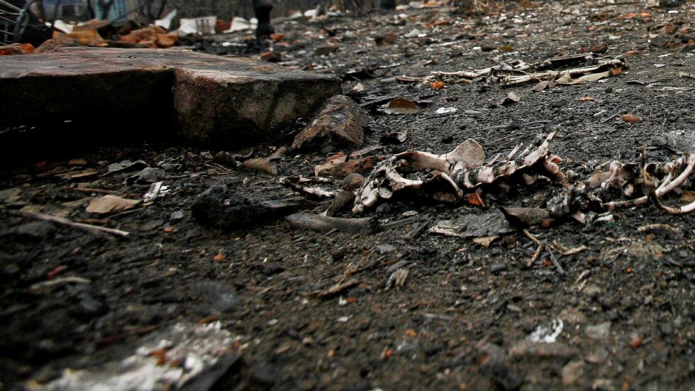 Зловеща находка: Руснак откри масов гроб в изкоп за къща