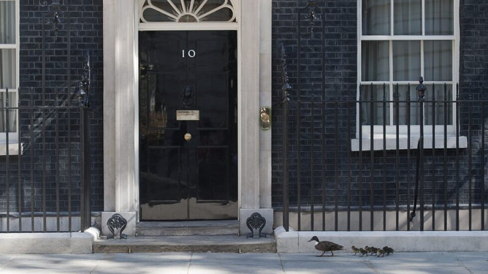 Още членове на британското правителство подават оставки