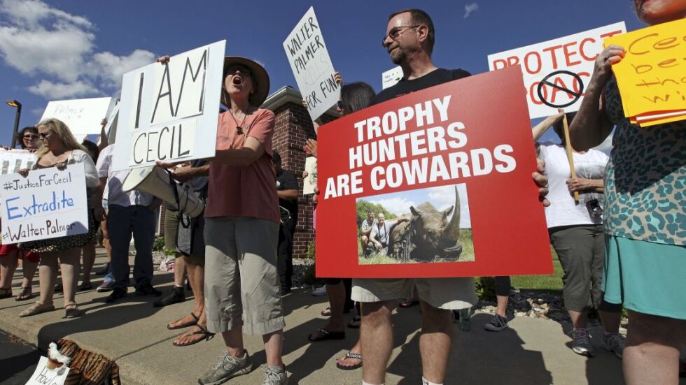 Масови протести пред кабинета на убиеца на лъва Сесил в САЩ (ВИДЕО)
