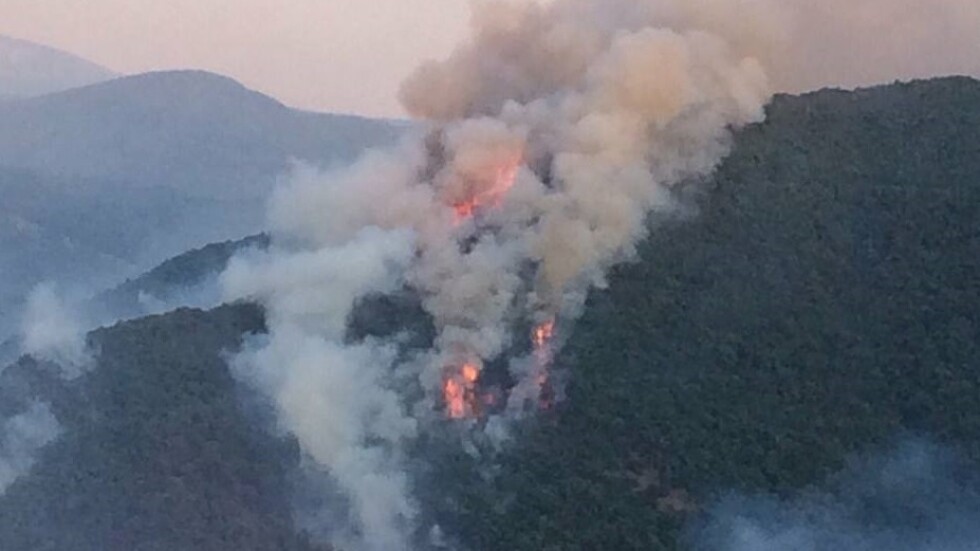 Голям горски пожар избухна край село Стара Кресна