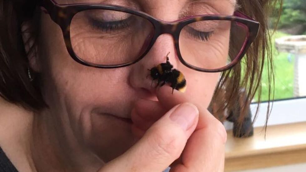 Жена спаси пчела без криле и се сдоби с най-добър приятел