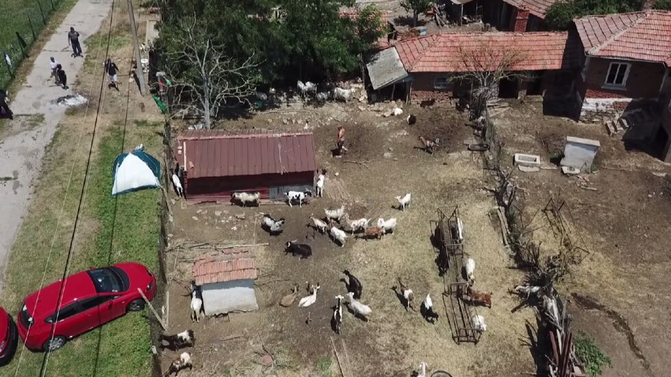 В Шарково продължава дезинфекцията на стопанствата с унищожени животни