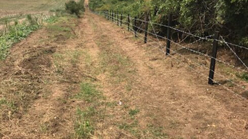 Заради чумата: Четириредова телена ограда ще спира дивите свине от Румъния