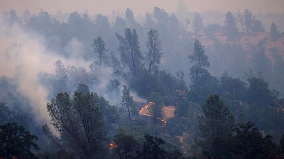 Шест жертви и 17 души в неизвестност при пожарите в Калифорния