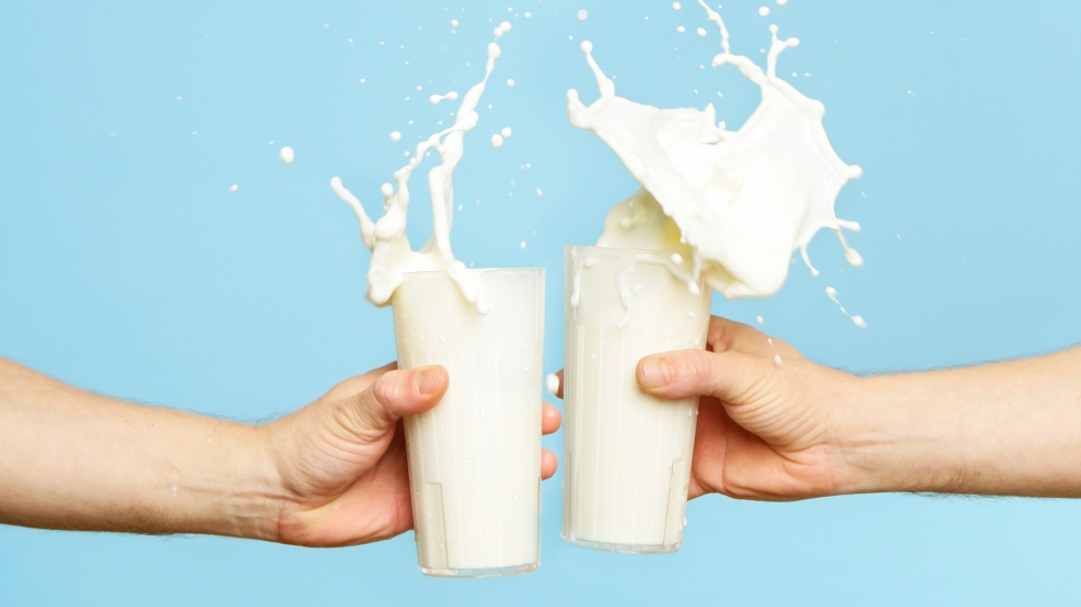 Млякото и млечните продукти предотвратяват различни хронични заболявания - включително диабет