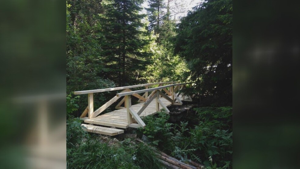 Доброволци строят безвъзмездно мостове на Витоша