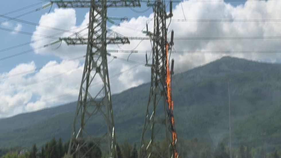Пожар повреди два електропровода в София