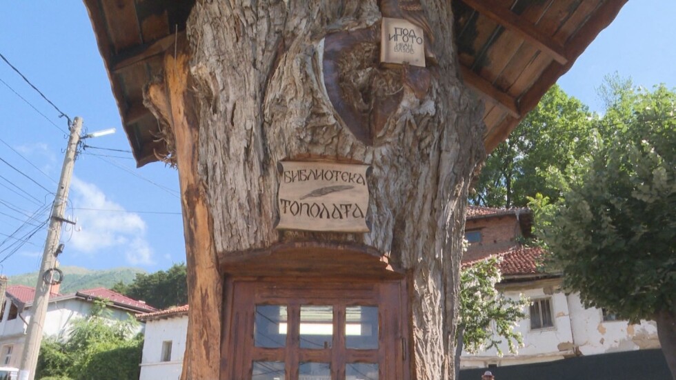 170 години Вазов: В родния град на писателя откриха библиотека в 300-годишно дърво