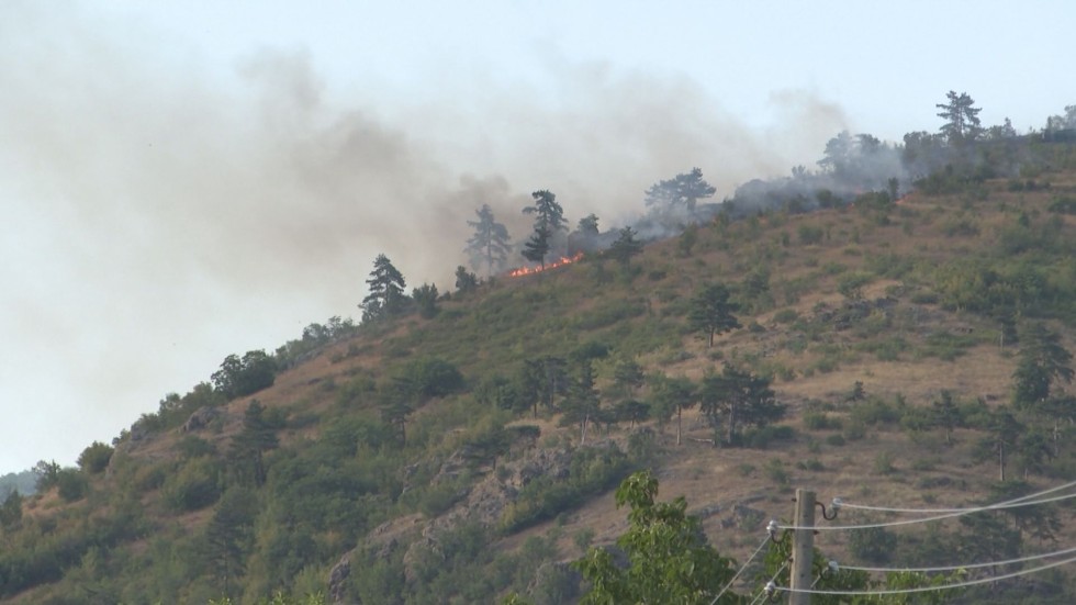 Пожарът над старозагорското село Дълбоки е овладян