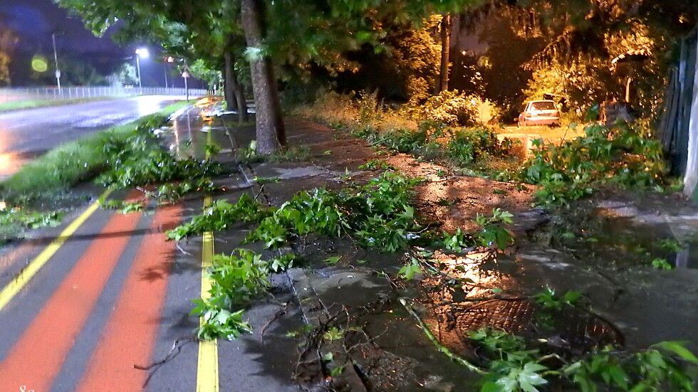 Наводнени улици и паднали дървета в Разград и други градове (ВИДЕО)