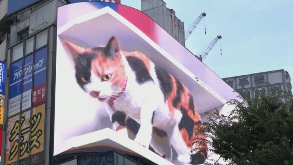 Гигантска котка следи жителите на Токио (ВИДЕО)