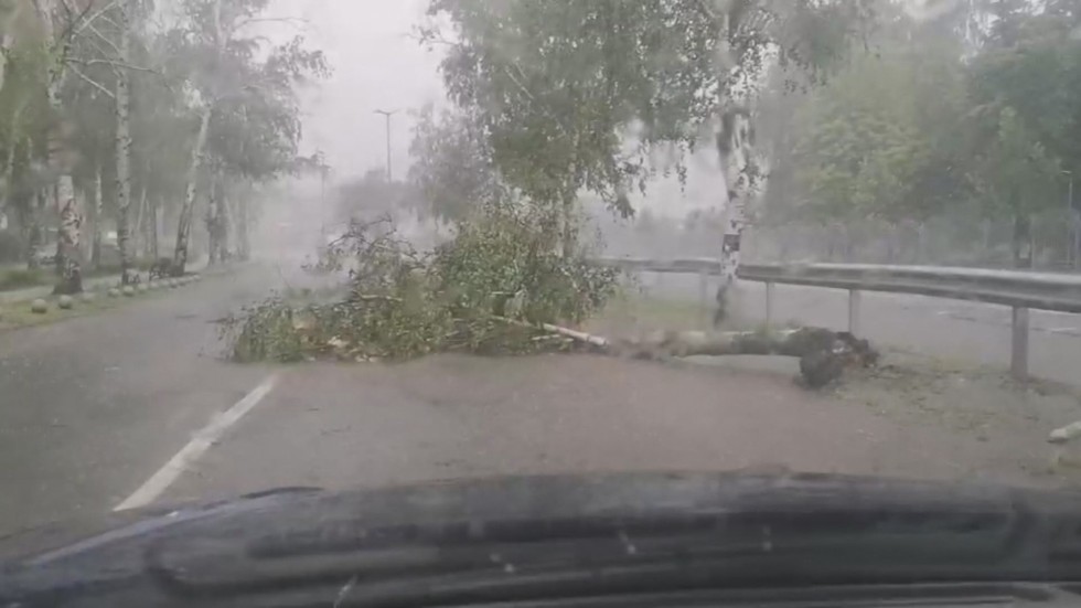 След бурята: Повалени дървета, скъсани жици и селища без ток в Монтанско и Врачанско