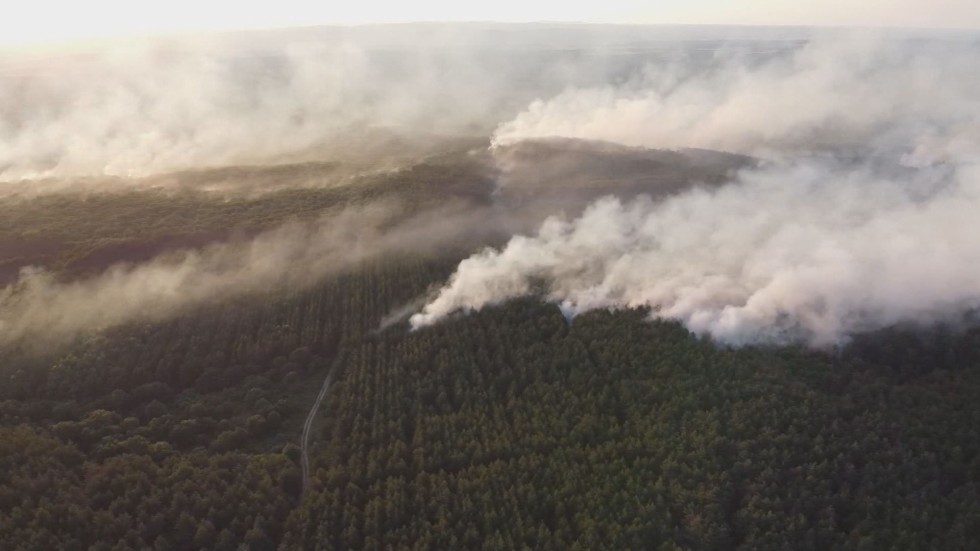 Над 150 пожарникари, горски и доброволци се борят с пламъците в Сакар планина