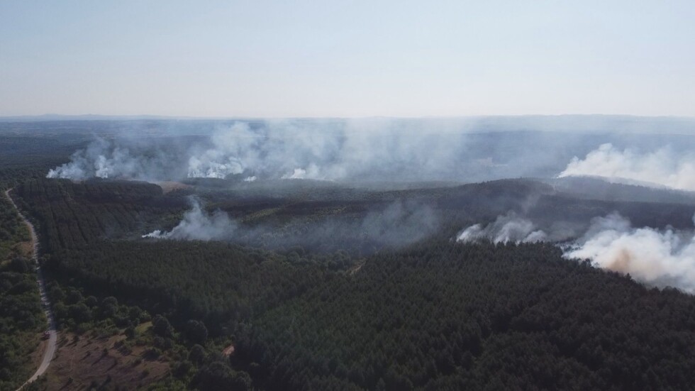 Продължава борбата с пламъците в Сакар: Заплашени са 9000 дка гора