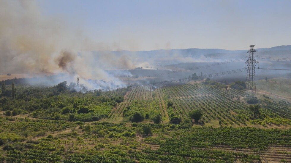 След пожарите край Благоевград: Изпепелени са стотици декари лозя и жито