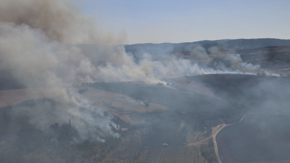 Голям пожар в Благоевградско: Горят земеделски площи