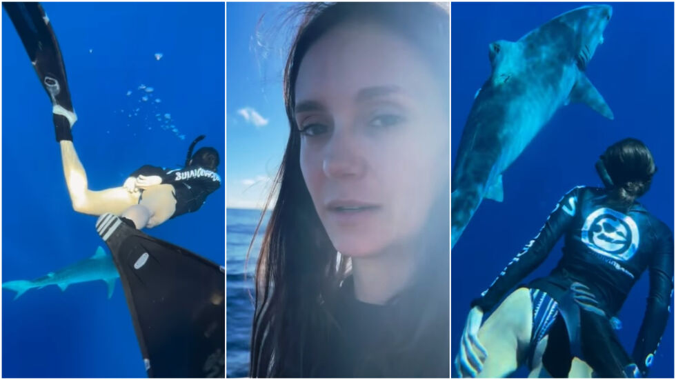 Нина Добрев плува край тигрови акули и заклейми убийците им