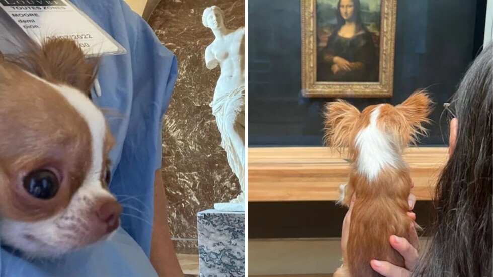 Деми Мур запозна кучето си с Мона Лиза – пускат ли животни в Лувъра?