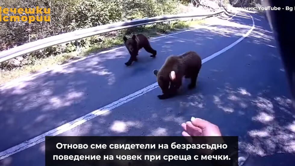 Среща с мечка: Видеоклип показва какво не трябва да правим в такава ситуация (ВИДЕО)