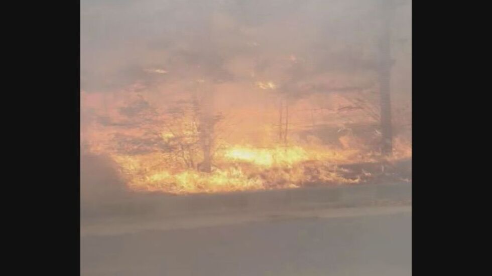 Пожар в Бургаско (ВИДЕО)
