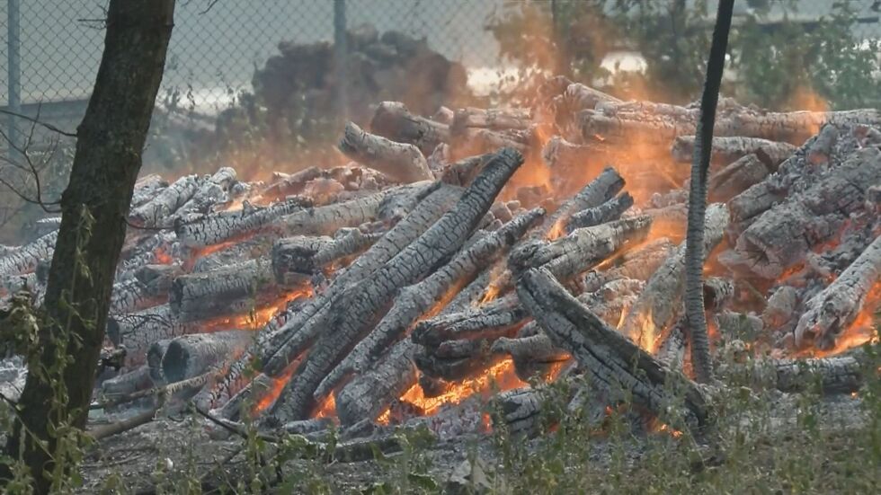 Локализиран е пожарът в Бургаско, хората се подготвят за нощно дежурство