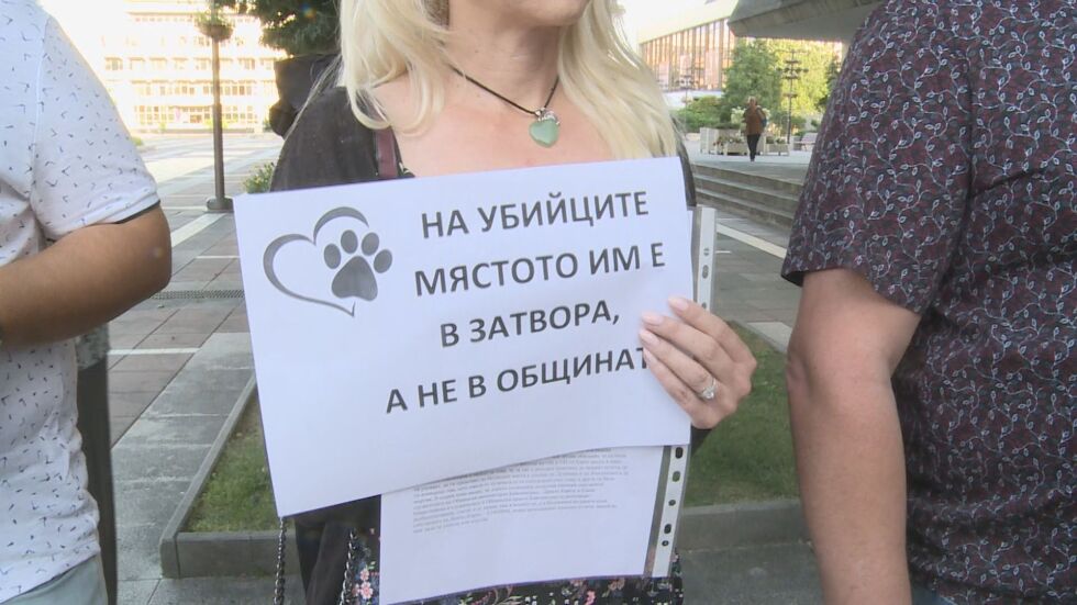 Полицията арестува общински служители в Благоевград след сигнал за убийства на кучета