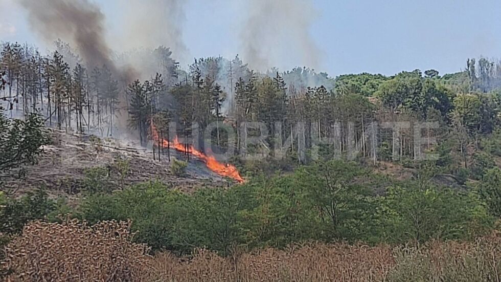 Голям пожар бушува в Русе, огънят е тръгнал от жп линия
