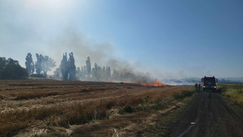 Пожар гори край софийската махала Бобен