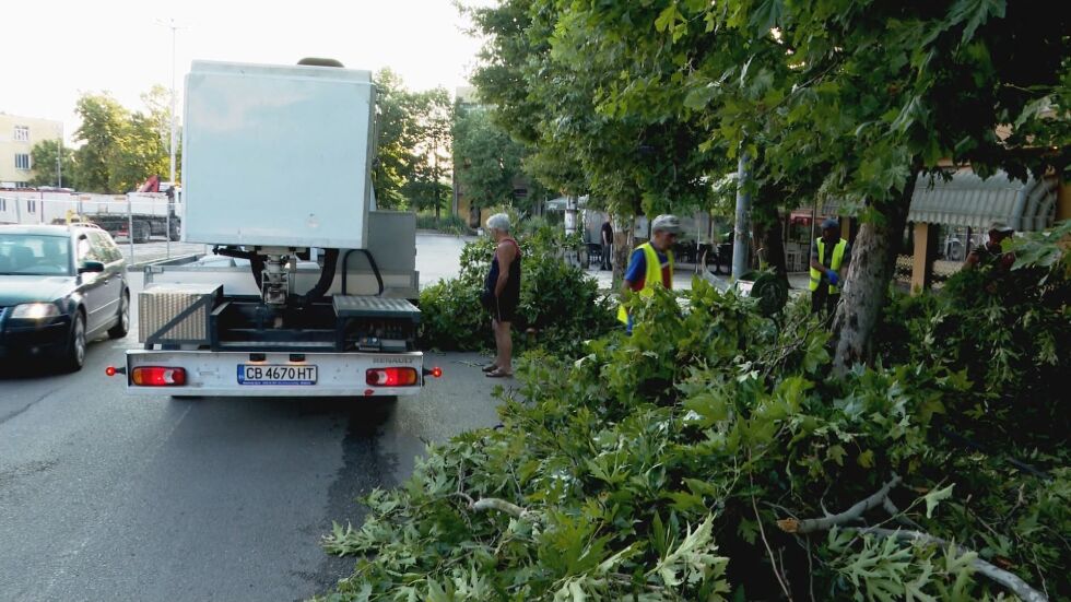 Щетите след бурята: Изкоренени дървета и смачкани коли в Харманли
