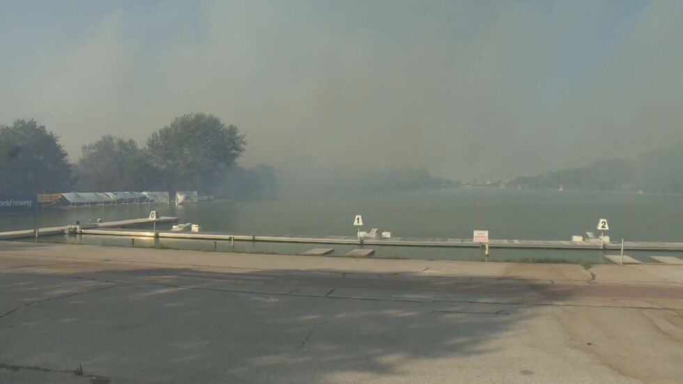 Пожарът край Грабната база в Пловдив: Засегнати са десетки декари гора и зелени площи