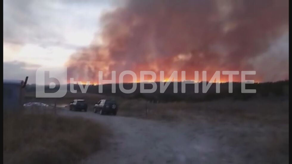 Пожари бушуват в Хасковско: Един от тях е непосредствено близо до село (ВИДЕО)