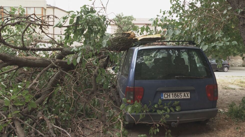 Ураганен вятър в Сливен повали дървета и огради