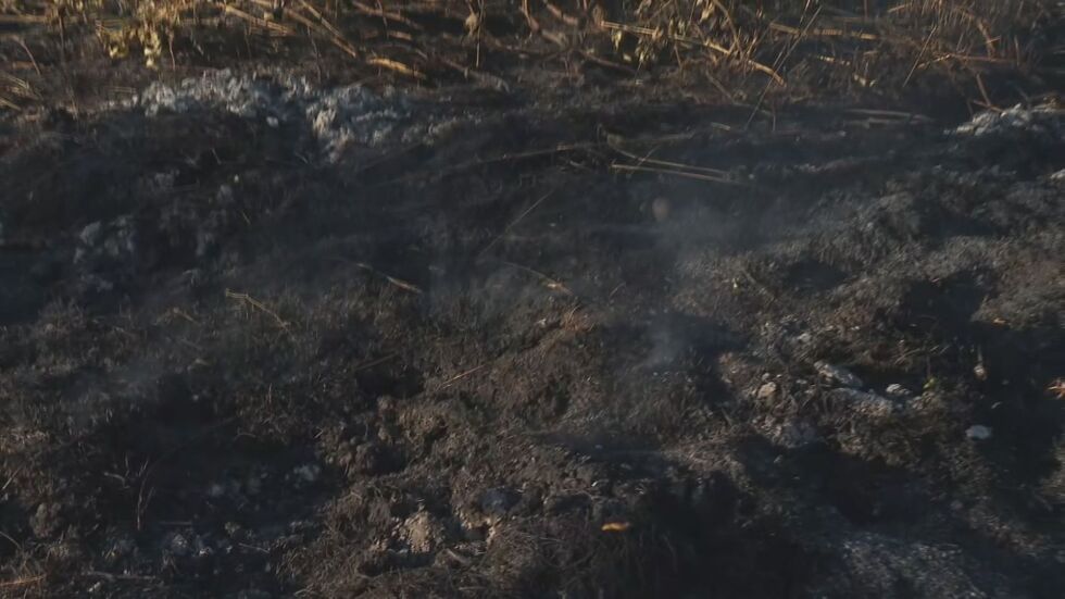 Пожарите в Хасково: Трети ден продължава битката с огъня
