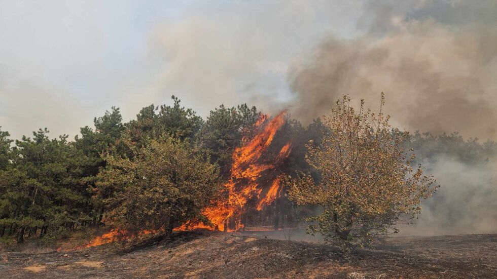 Пожарът над Отец Паисиево не е локализиран, нужни са доброволци на терен (ВИДЕО)
