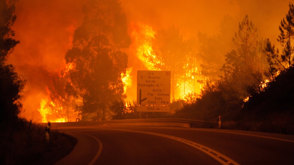 Горски пожар отне живота на 57 души в Португалия (СНИМКИ И ВИДЕО)