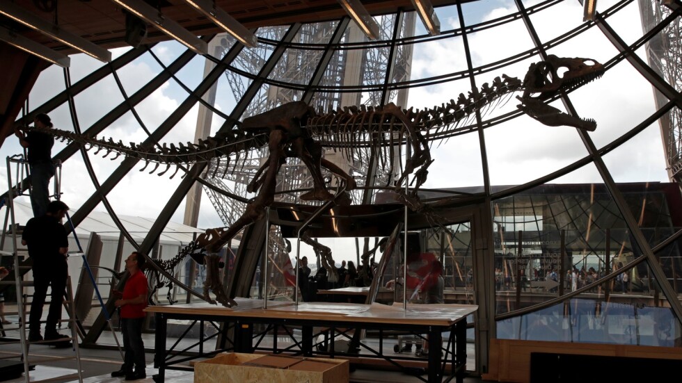 В Париж продадоха скелет на динозавър за 2 млн. евро
