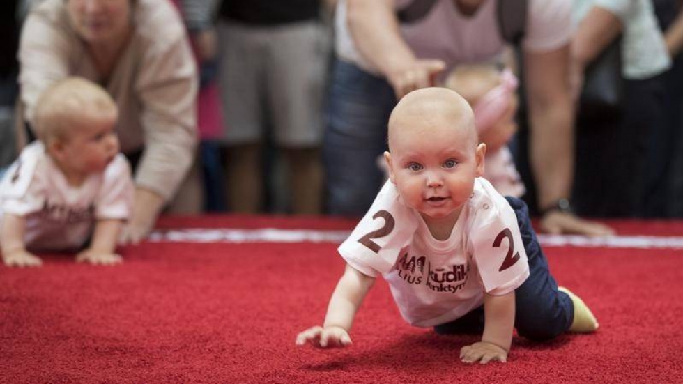 В Литва бебешкото пълзене е превърнато в спорт с традиции (ВИДЕО)
