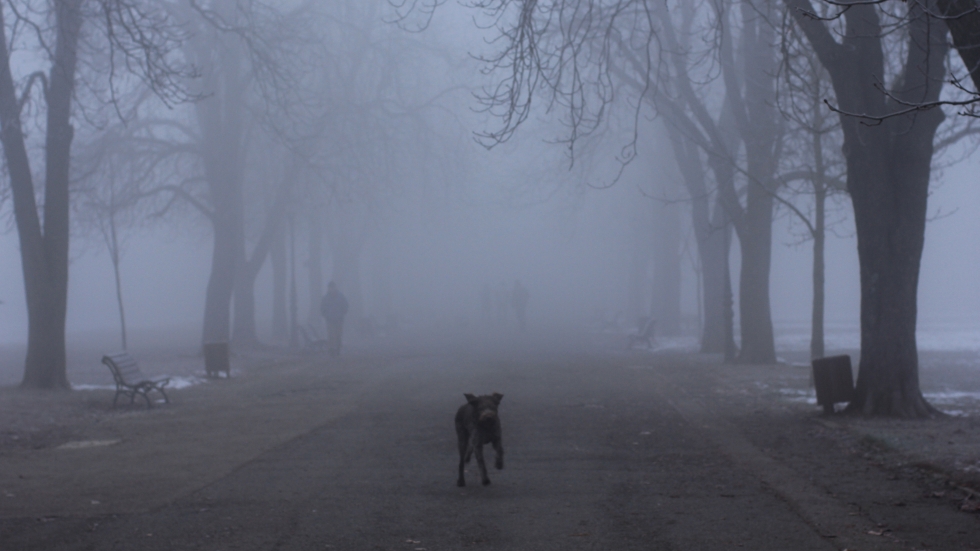 92% от българите са убедени, че проблемът с качеството на въздуха се задълбочава