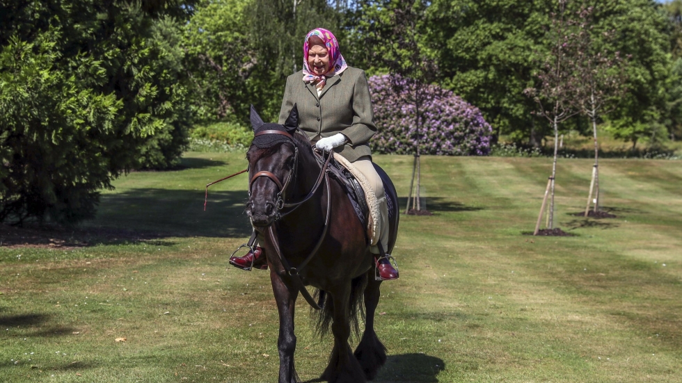 Да яздиш кон на 94-годишна възраст – Елизабет II се справя отлично