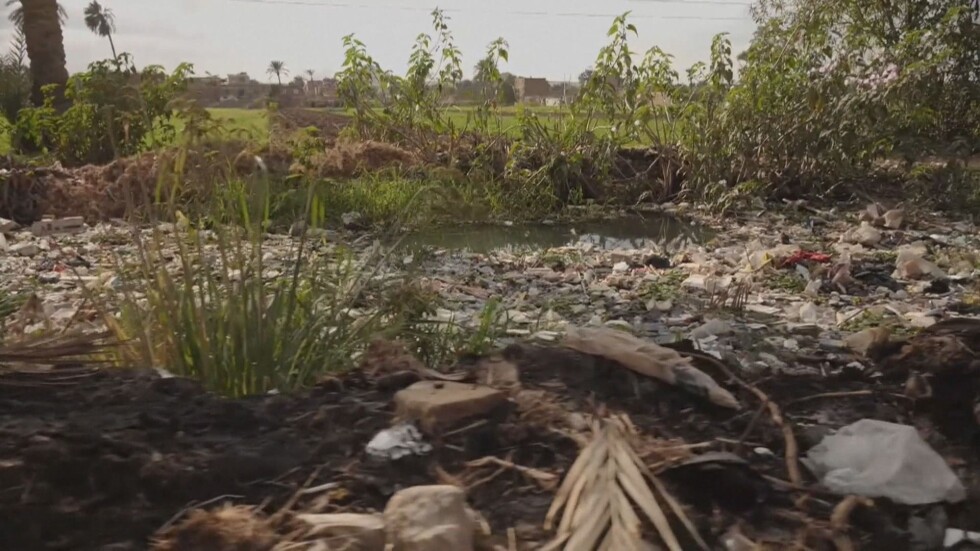 Учени алармират за екологична катастрофа в река Нил 