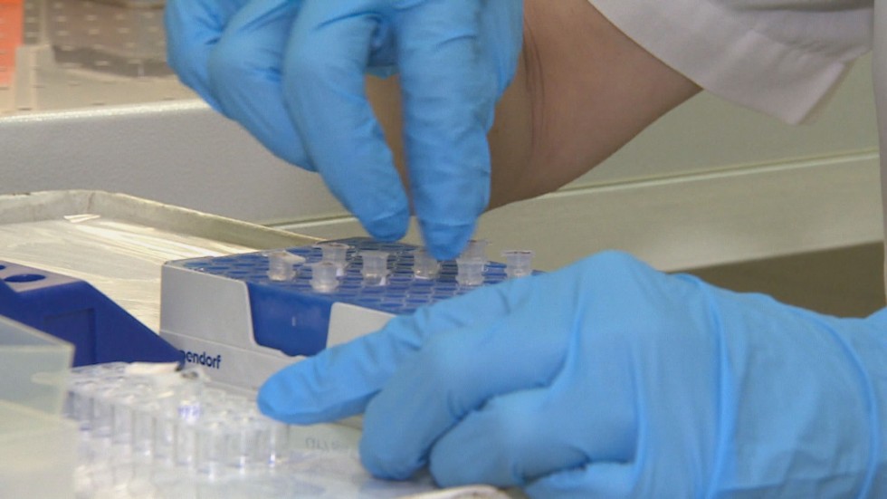 Най-масовото тестване у нас: Над 1100 изследвани, нито един с положителен PCR