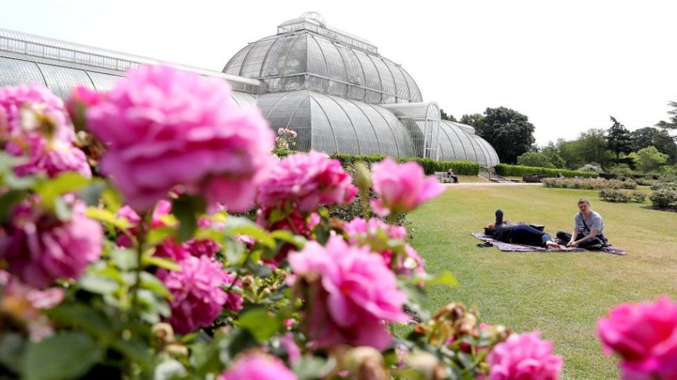 Кралската ботаническа градина в Лондон отново отвори врати (ГАЛЕРИЯ)