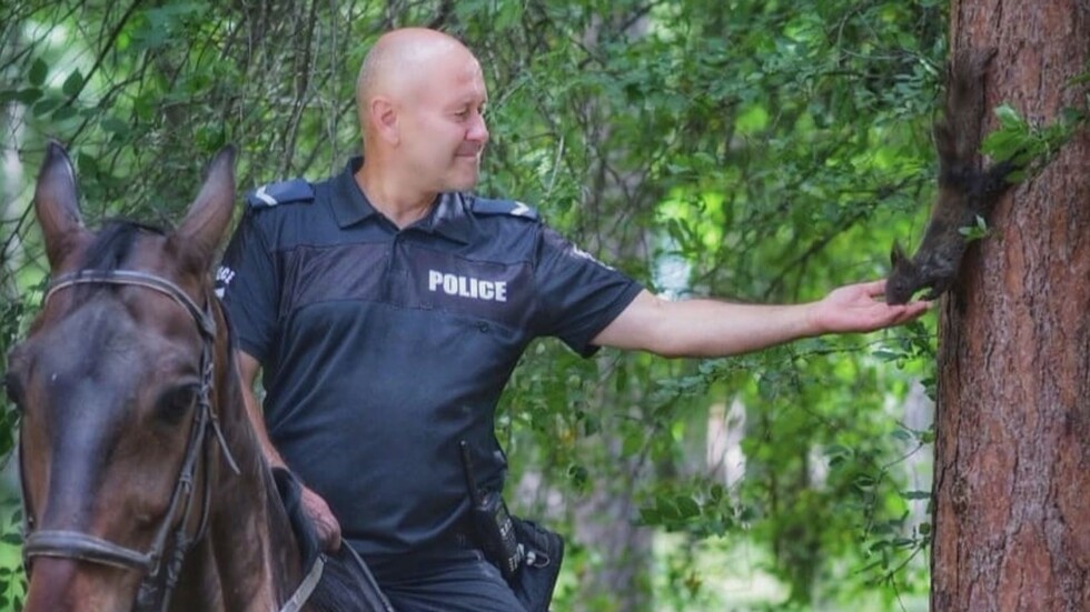 Столични полицаи хранят и се грижат за катериците в парка
