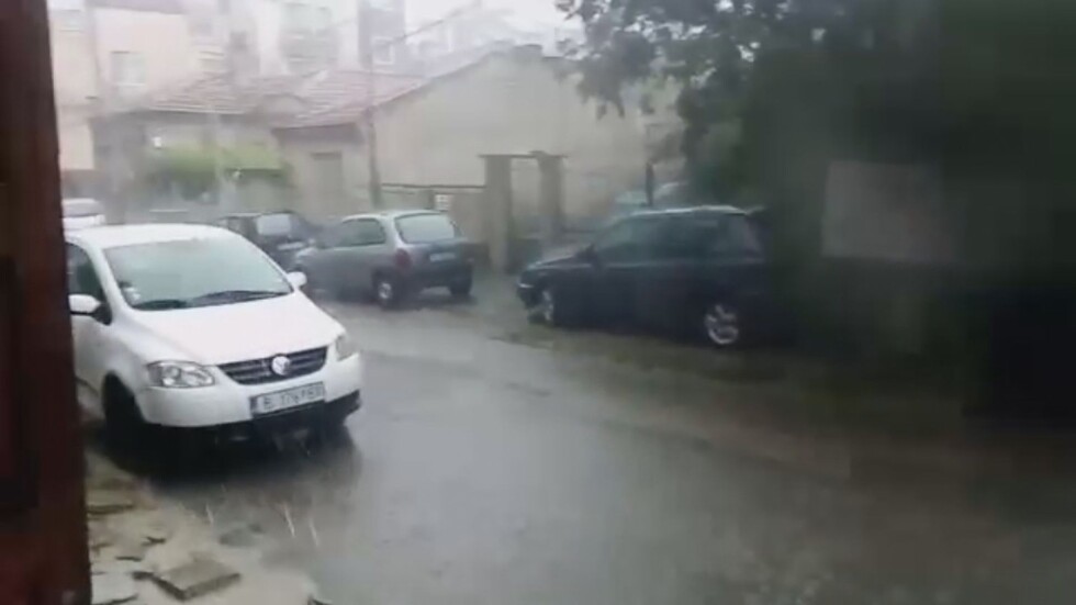 Силна лятна буря над Варна: Голямо дърво падна и блокира движението на улица 
