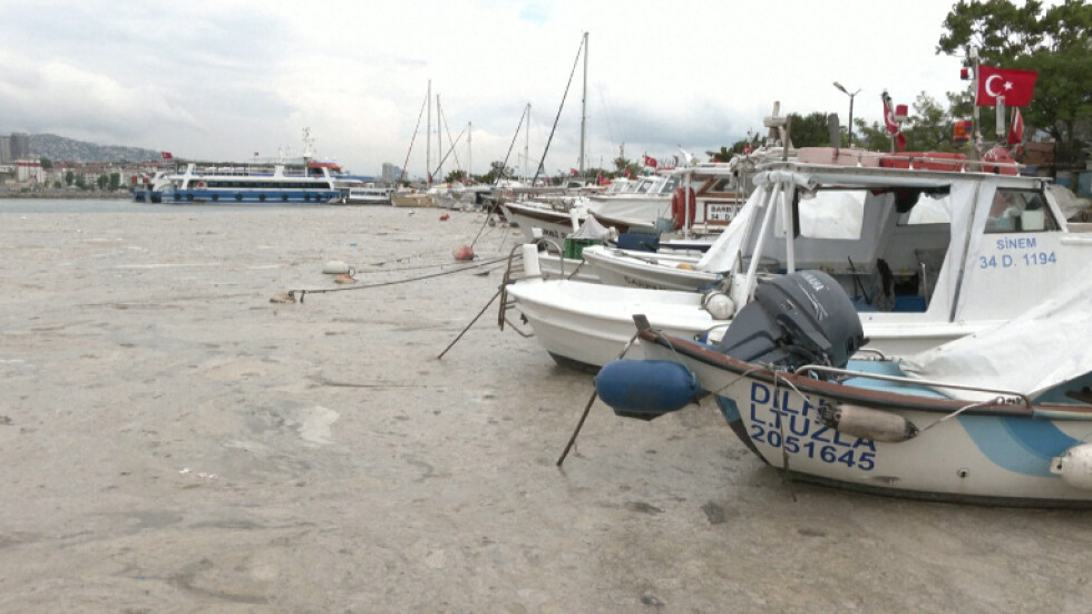Дебел слой от микроорганизми е покрил водите на Мраморно море край Истанбул