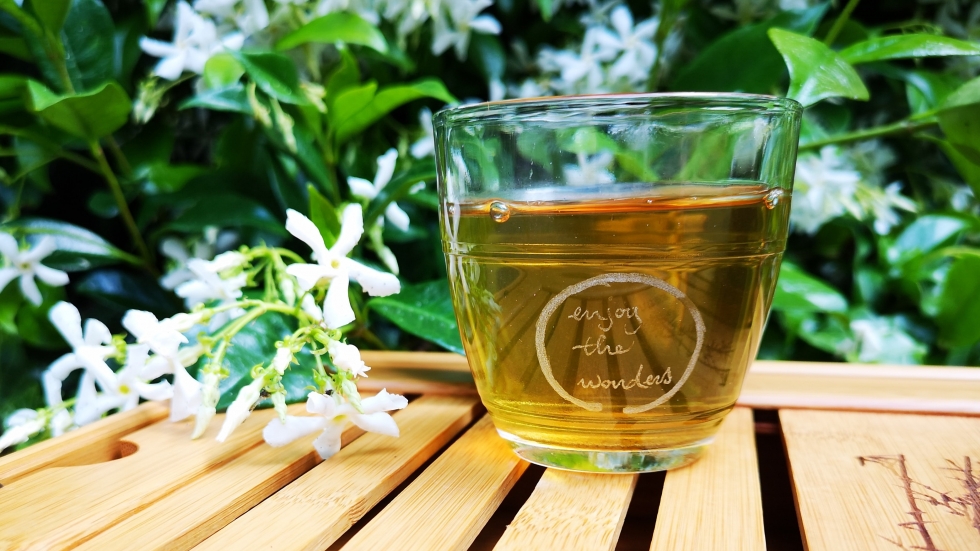 Зеленият чай съдържа вещество, което може да помогне срещу COVID-19, сочи изследване