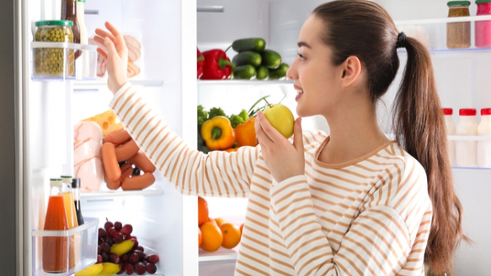 Какво трябва да знаем при избора на хладилник?