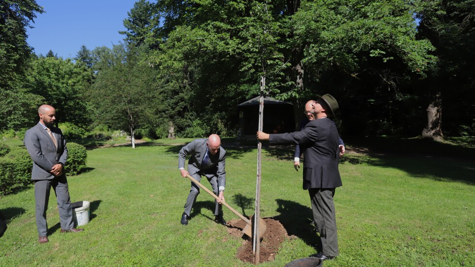 Симеон Сакскобурготски засади хартиено дърво в двореца "Врана"
