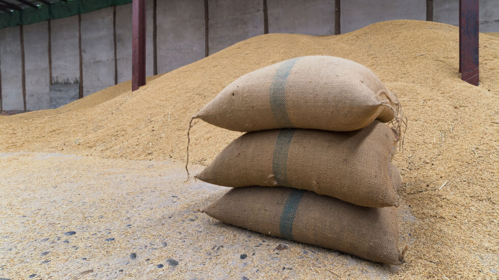 Египет е закупил 50 000 тона пшеница от България, според "Ал Арабия" 