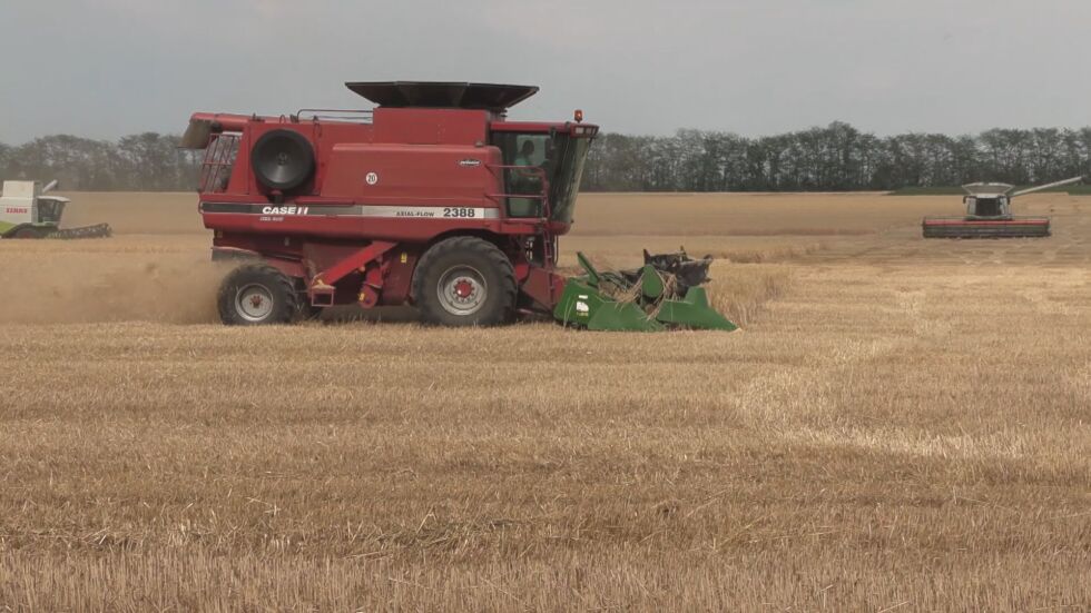 Вносът на зърно от Украйна: България вдига забраната, ако ЕС намери единна позиция